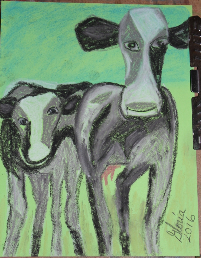 cow-and-calf-sketch-drawn-by-gloriapoole-of-Missouri-26-May-2016-8x11-cardstock-chalk
